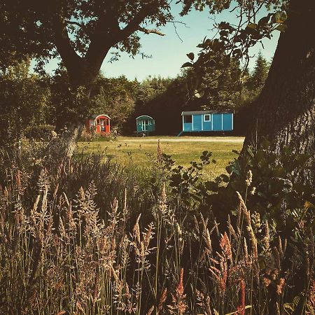 Pipowagens Bij De Koppenjan: Unique Farmstay with Pancake Restaurant Jubbega-Schurega Exterior photo