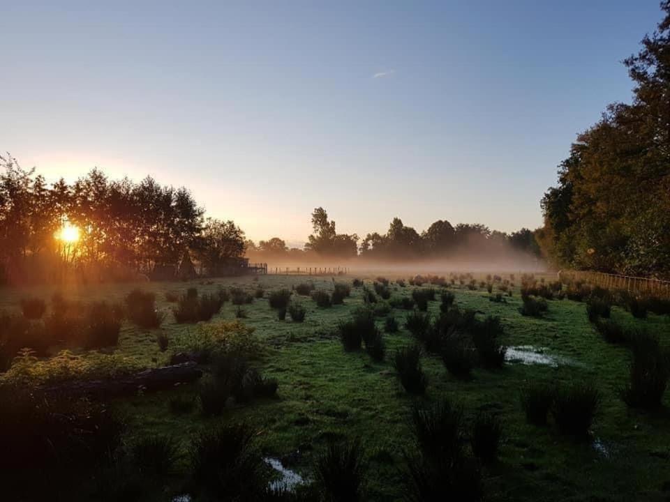 Pipowagens Bij De Koppenjan: Unique Farmstay with Pancake Restaurant Jubbega-Schurega Exterior photo