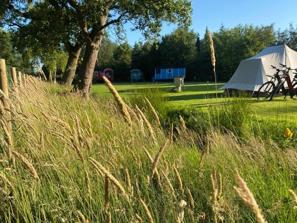 Pipowagens Bij De Koppenjan: Unique Farmstay with Pancake Restaurant Jubbega-Schurega Exterior photo